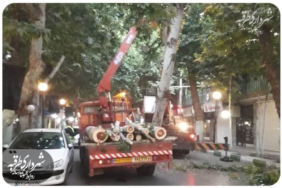 اخبار طرقبه