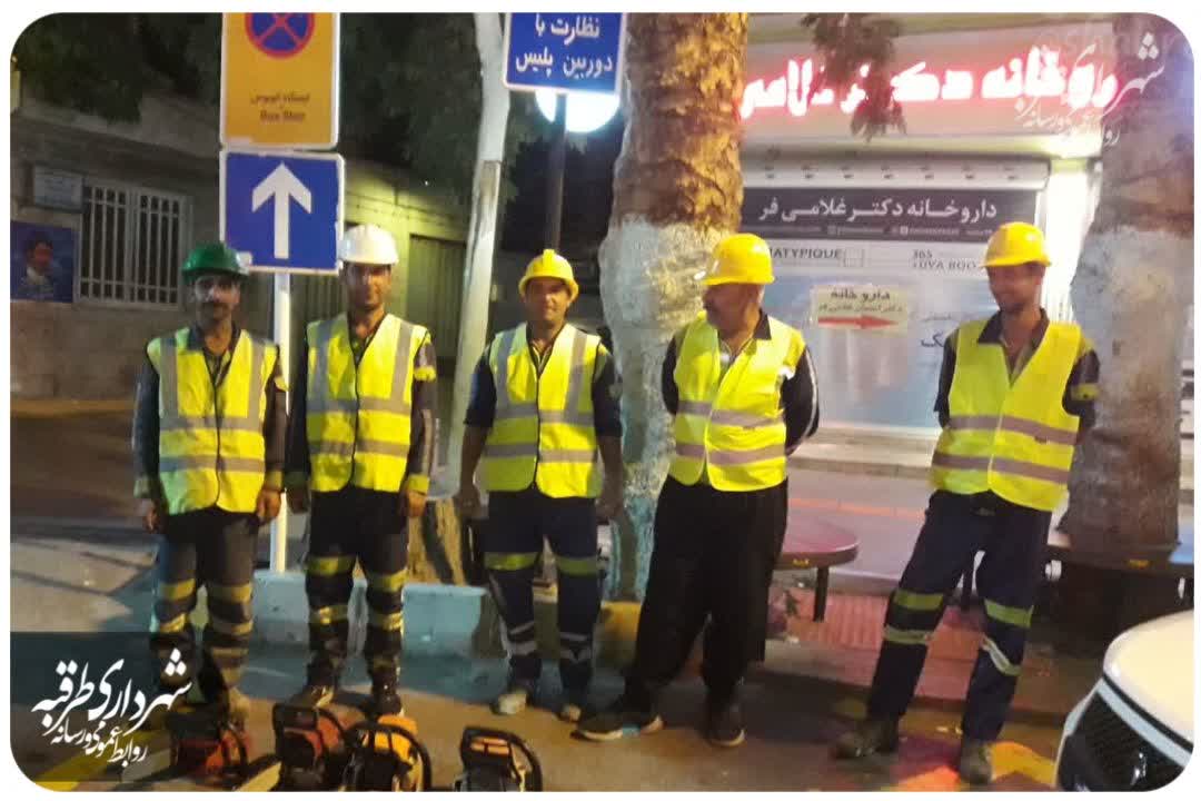 اخبار طرقبه