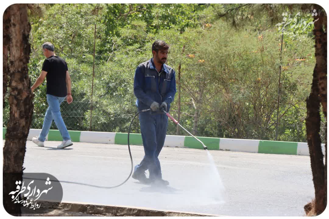 اخبار طرقبه