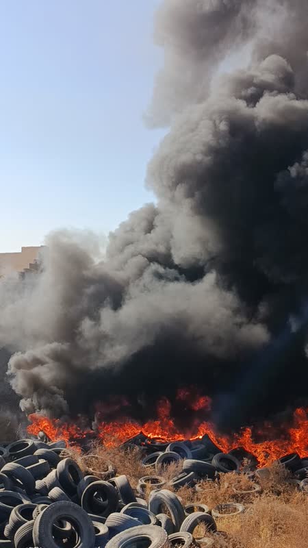 اخبار طرقبه