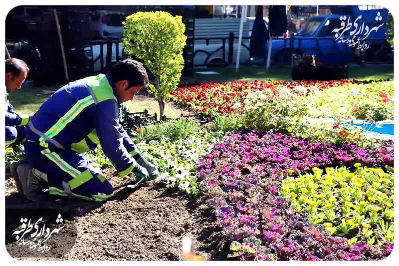 اخبار طرقبه