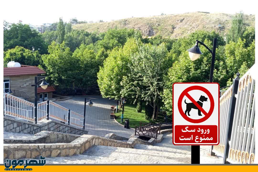 اخبار طرقبه